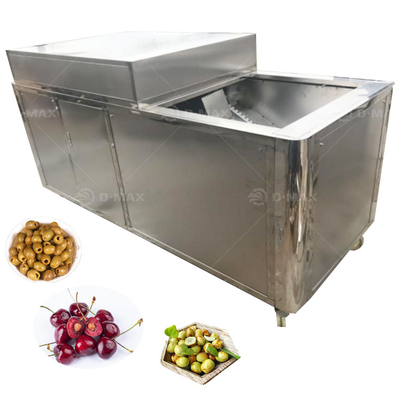 2023 Ano Extractor de Cernel de Fadas de Palma com Função de Pitting e Destoner de Extração de Sementes de Fadas de Pinheiro