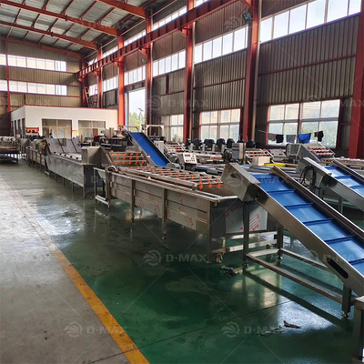 Máquina de lavagem e classificação de tomates para pequenas instalações de processamento