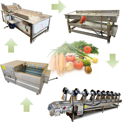 Linha de processamento de vegetais de alta velocidade com potência de 3,75 kW e tecnologia de limpeza de bolhas