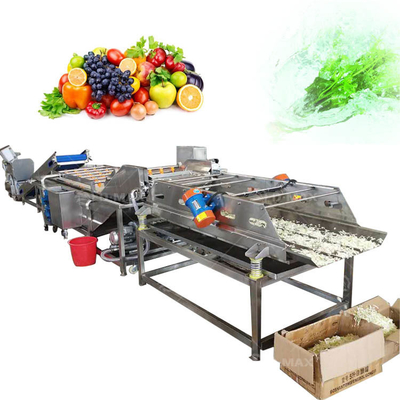 Linha de processamento industrial de limpeza e secagem de vegetais com tecnologia avançada de bolhas