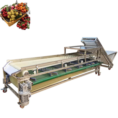 Máquina de triagem de pista laranja multifuncional para a triagem de jujuba de palma e tomate de tâmaras