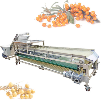 Máquina de triagem de pista laranja multifuncional para a triagem de jujuba de palma e tomate de tâmaras