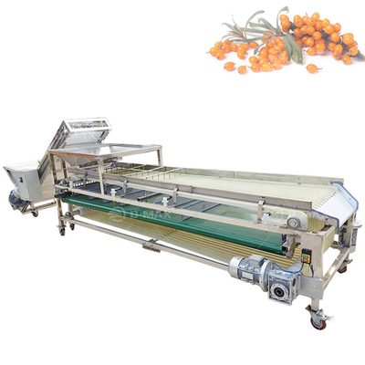 Máquina de classificação de frutas de paixão de bom desempenho para requisitos de processamento de frutas