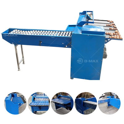 Máquina de classificação de ovos com elevador de ovos e classificador de ovos de pato 200W Capacidade 5400 ovos/h
