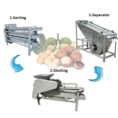 Indústria Alimentar Cracker e Máquina de Separação de Núcleo de Palma de Amêndoa com Função Automática