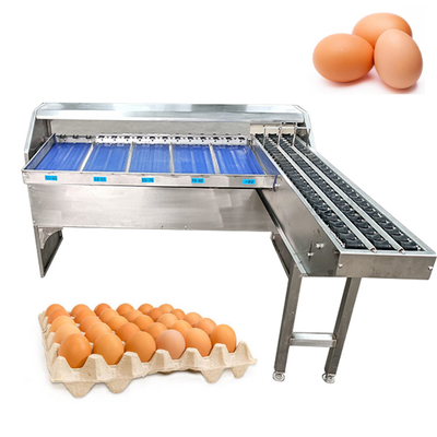Máquina de classificação multifunção de ovos para ovos de galinha