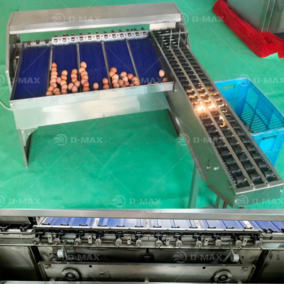 Máquina de classificação multifunção de ovos para ovos de galinha