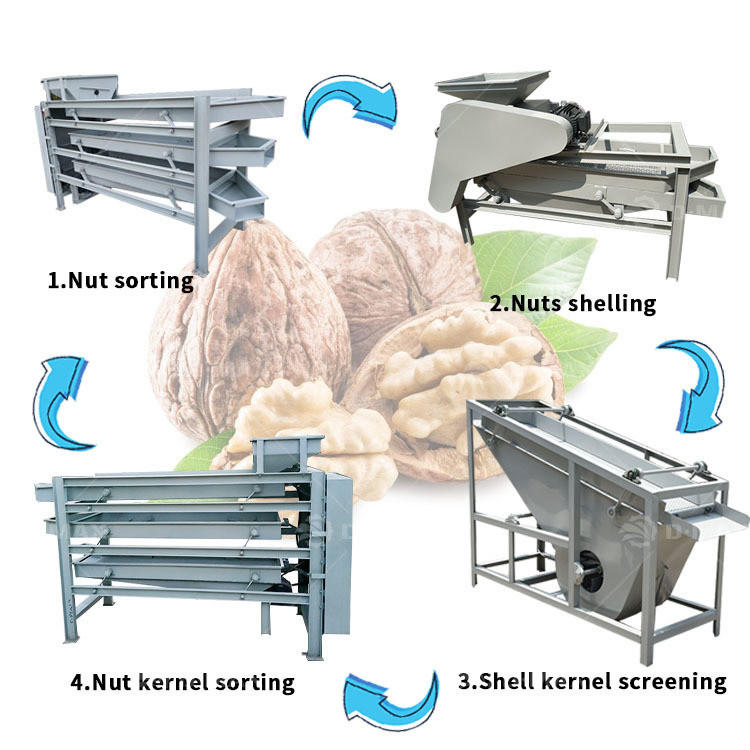 Máquina de descascagem de amêndoas de avelã para separação de casca e núcleo de avelã