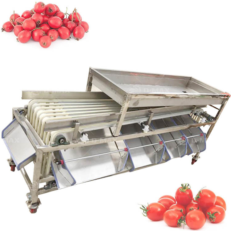 Máquina de triagem de pista laranja multifuncional para a triagem de jujuba de palma e tomate de tâmaras